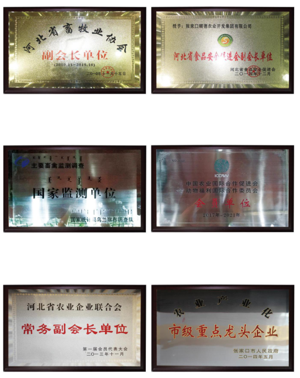 无标题.png