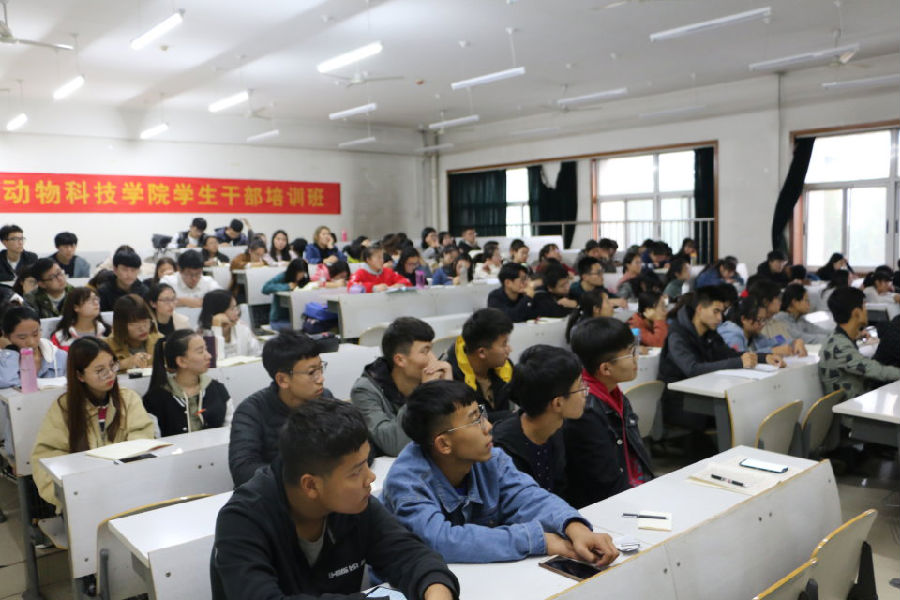 图片1235.png