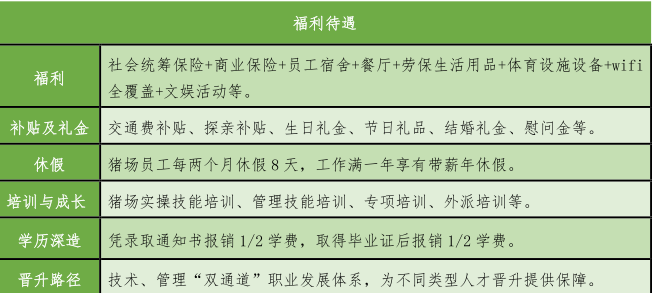 无标题.png